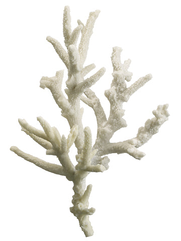 13" Finger Coral  White (pack of 2)