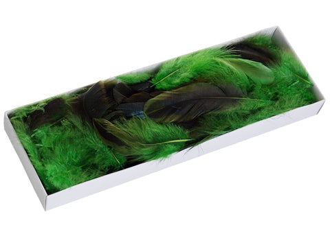 1"Hx3.5"Wx10"L Cock Tail Feather in Box Two Tone Green (pack of 12)