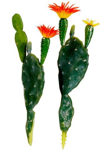 7.75"-8.5" Assorted Prickly Pear Cactus (2 ea./Set) Green Orange (pack of 24)