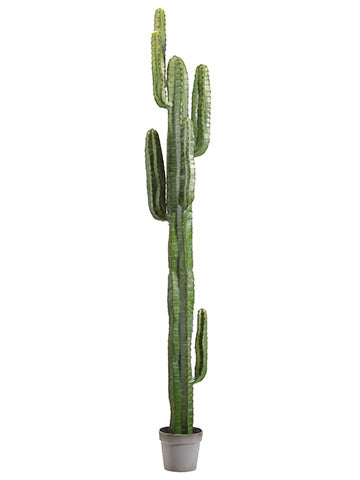 79" Cactus Plant in Plastic Planter Green (pack of 1)