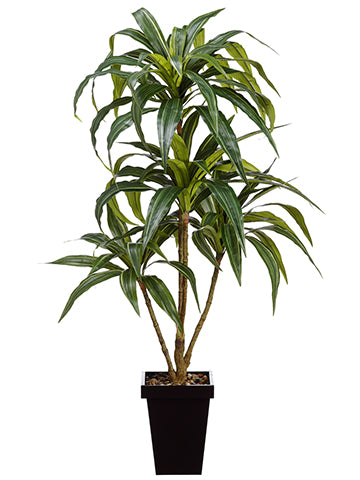 4' Dracena Plant in Metal Pot  Green Grey (pack of 4)