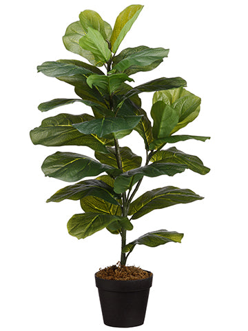 31.5" Fiddle Leaf Plant in Pot Green (pack of 6)
