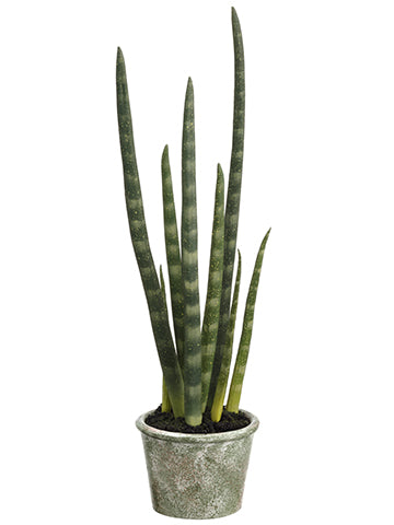 16" Snake Grass Plant in Pot  Green (pack of 4)
