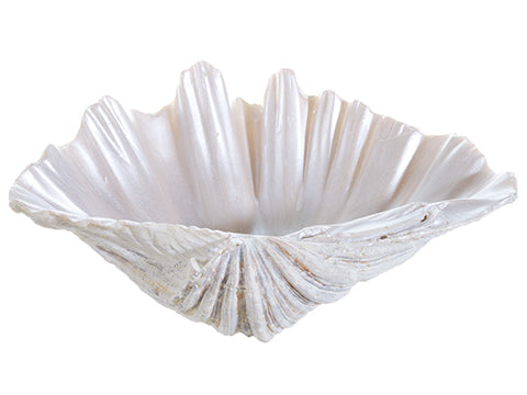 4.5"Hx12"L Polyresin Shell  Natural (pack of 6)