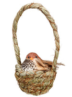 7.5" Hanging Bird's Nest with Bird Two Tone Brown (pack of 6)