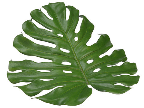 18" Monstera Placemat  Green (pack of 6)