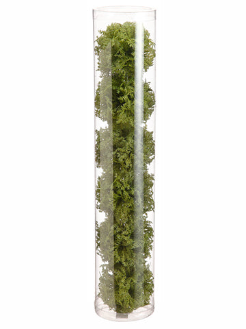 2" Moss Orb (6 ea/acetate box)  Green (pack of 12)
