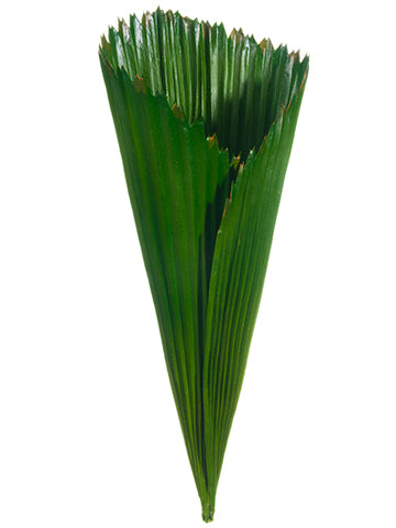 17.5" Palm Leaf Bouquet Holder Green (pack of 6)