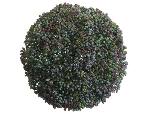 5" Sedum Orb  Green (pack of 12)