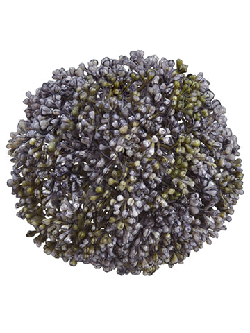 4" Sedum Orb  Green Lavender (pack of 24)