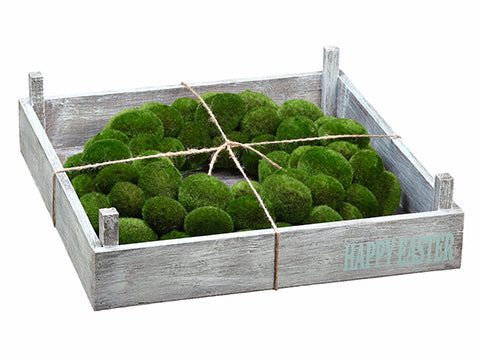 20"Wx20"L Moss Egg Wreath in Wood Box Green (pack of 2)
