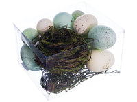4"Hx5.5"Wx6.5"L Egg/Bird's Nest Assortment in Acetate Box Mixed (pack of 6)