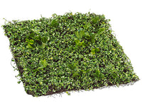 12"Wx12"L Mini Twig Berry Mat  Green (pack of 12)