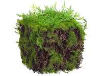 4"Hx4"Wx4"L Moss Cube  Green (pack of 24)