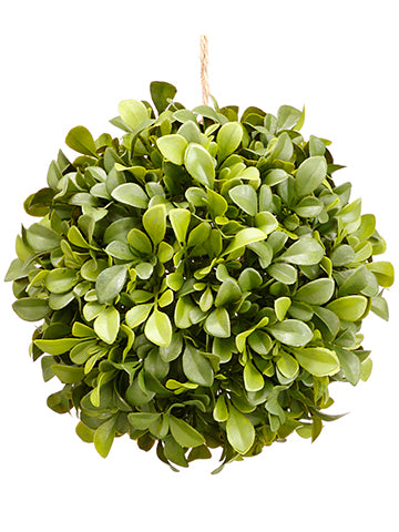 7" Boxwood Orb  Green (pack of 6)