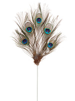 23" Peacock Feather Spray  Peacock (pack of 72)