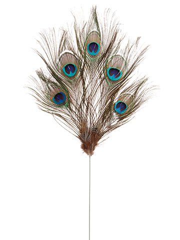 23" Peacock Feather Spray  Peacock (pack of 72)