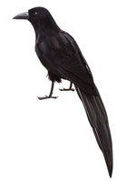20" Crow  Black (pack of 4)