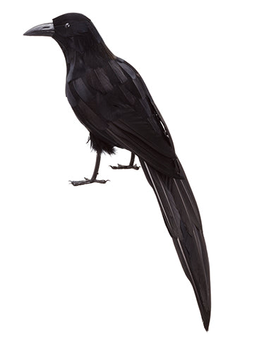 20" Crow  Black (pack of 4)