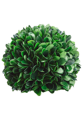 7"D Dried Look Boxwood Ball w/Cardboard Stand Green (pack of 4)