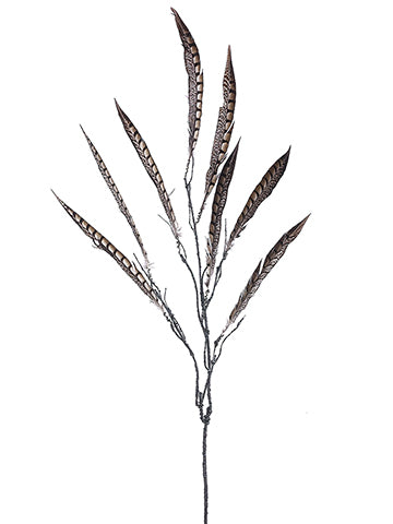 45" Pheasant Feather Spray  Brown (pack of 12)