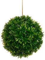 6" Matai Ball  Green (pack of 12)