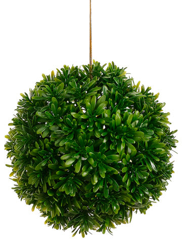 6" Matai Ball  Green (pack of 12)