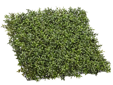 21"Wx21"L Boxwood Mat  Green (pack of 3)