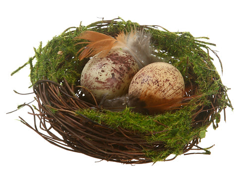 4" Bird Nest with Eggs  Brown Green (pack of 24)