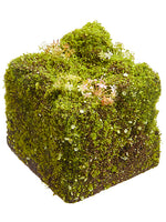 4"Hx4"Wx4"L Moss Cube With Blossom Green Pink (pack of 12)