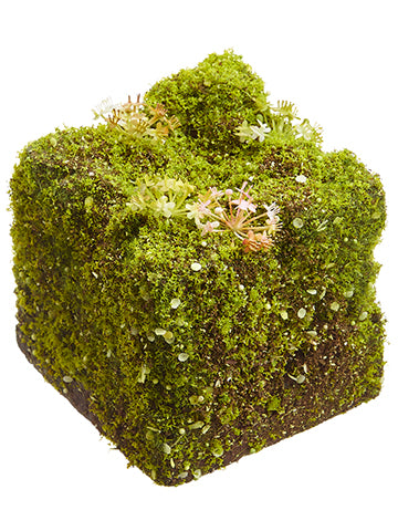 4"Hx4"Wx4"L Moss Cube With Blossom Green Pink (pack of 12)