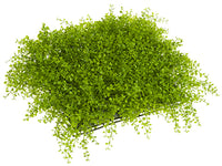 17"Wx17"L Soft PE Button Fern Square Mat Green (pack of 4)