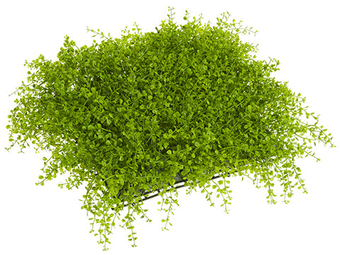 17"Wx17"L Soft PE Button Fern Square Mat Green (pack of 4)
