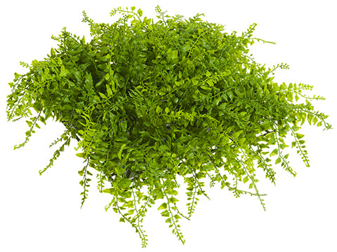 14"Wx14"L UV Protected Soft PE Curly Fern Square Mat Green (pack of 6)
