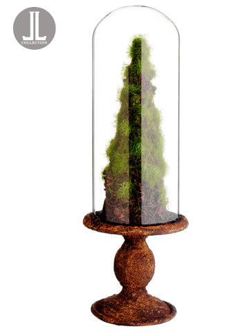 17" Moss/Twig Cone Topiary in Glass Dome Green Brown (pack of 6)