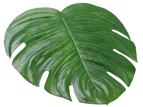 18"Wx16.5"L Monstera Placemat  Green (pack of 12)