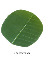 4.75" Banana Leaf Coaster (6 ea/poly bag) Green (pack of 12)