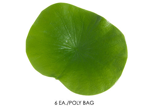4.75" Lotus Leaf Coaster (6 ea./Poly Bag) Green (pack of 12)