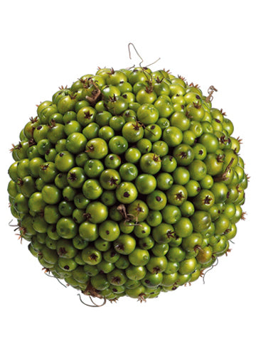5.5" Foam Berry Ball with 340 Berries Green (pack of 4)