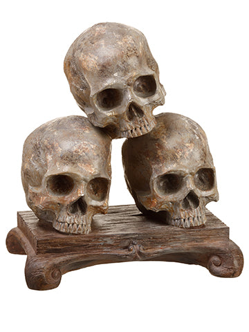 11" Skull  Antique Brown (pack of 2)