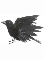 8.5" Crow With Open Wings  Black (pack of 12)