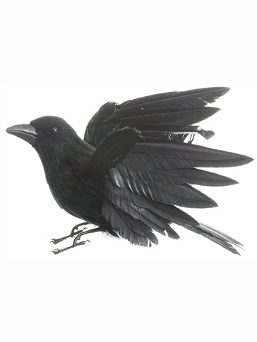 8.5" Crow With Open Wings  Black (pack of 12)