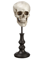 12.75" Skull Table Top  Beige Black (pack of 4)