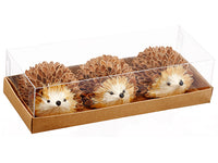 2.5"Hx4"Wx10"L Hedgehog (3 ea/acetate box) Brown Beige (pack of 6)