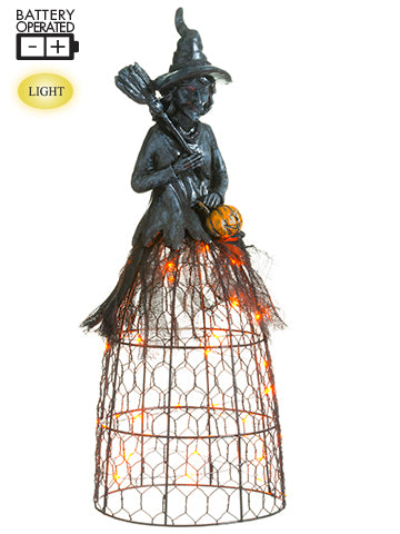 15" Battery Operated Witch on Meshed Dome X30 LED Lights Black (pack of 1)