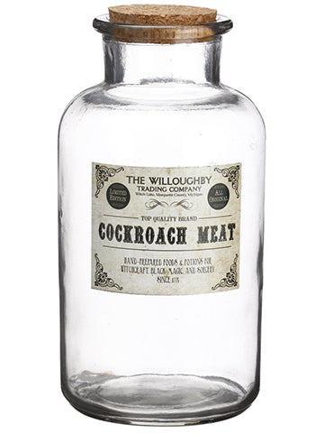 8.25" Glass Poison Bottle  Clear (pack of 4)
