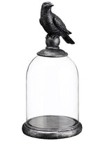 20.5"Hx9.75"D Crow Glass Dome  Clear Bronze (pack of 1)