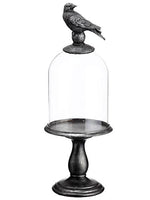 15.75"Hx6"D Crow Glass Dome  Clear Bronze (pack of 2)