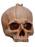 6.5" Skull  Antique Brown (pack of 2)