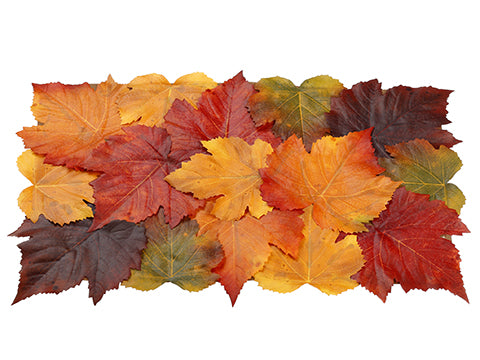 11"Wx17"L Maple Leaf Placemat  Fall (pack of 12)